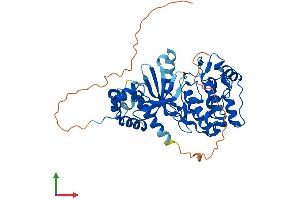 AlphaFold protein structure predicition of Human Recombinant NIM1K Protein, UniprotID Q8IY84 (NIM1 Protein (AA 1-436) (His tag))