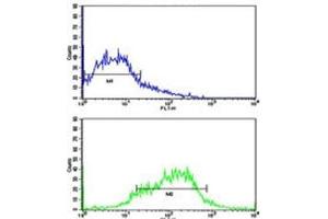 Flow Cytometry (FACS) image for anti-Ephrin Type A Receptor 1 (EPHA1) (AA 29-60) antibody (ABIN3030830)
