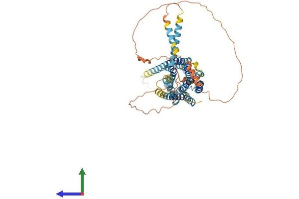 GPR176 Protein (AA 1-515) (His tag)