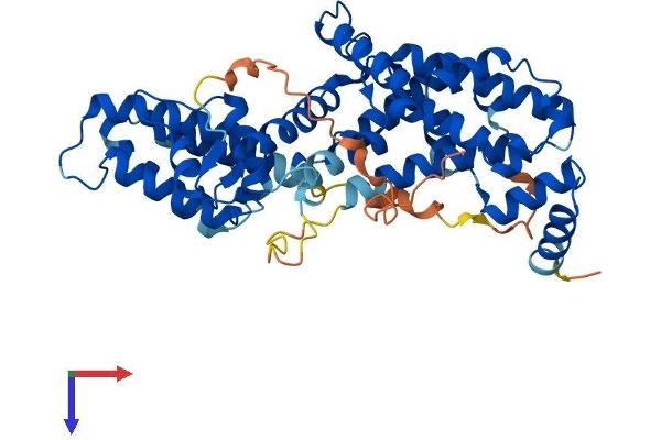 RASGEF1C Protein (AA 1-466) (His tag)