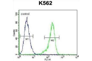 Flow Cytometry (FACS) image for anti-Ribosomal Protein S19 (RPS19) antibody (ABIN2996506) (RPS19 Antikörper)