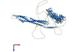 ASAP2 Protein (AA 1-958) (His tag)