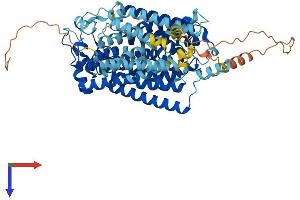 SLC5A9 Protein (AA 1-685) (His tag)