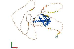 AlphaFold protein structure predicition of Human Recombinant DUX4L3 Protein, UniprotID P0CJ86
