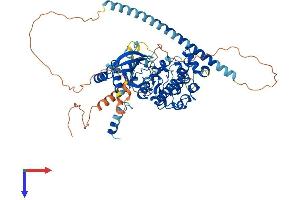 DMPK Protein (AA 1-631) (His tag)