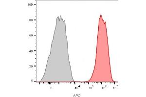 Flow cytometry analysis of MCF-7 cells unstained (gray) or stained with CD81 mouse monoclonal antibody (1.