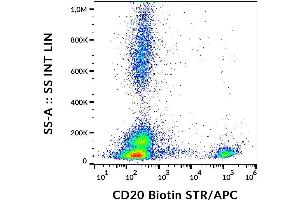 Surface staining of human peripheral blood with anti-CD20 (2H7) biotin, streptavidin.