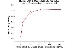 ELISA image for Leukocyte-Associated Immunoglobulin-Like Receptor 1 (LAIR1) (AA 22-163) (Active) protein (Fc Tag) (ABIN6992424)