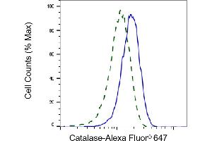 Flow cytometric analysis of Catalase expression in HepG2 cells using Catalase antibody (ABIN7797918), 1:2,000).