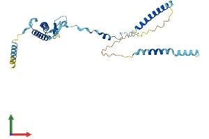 ISY1 Protein (AA 1-285) (His tag)