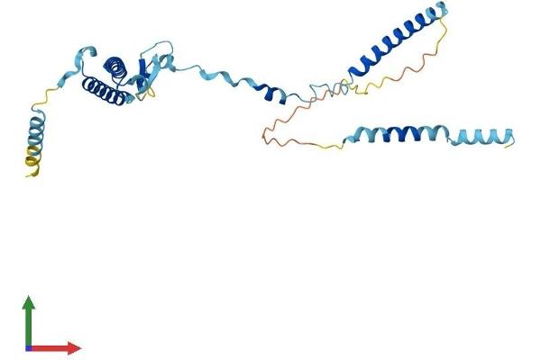 ISY1 Protein (AA 1-285) (His tag)
