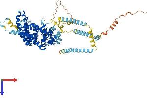 ST7 Protein (AA 1-585) (His tag)