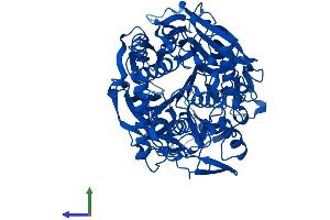 Protein Structure (PS) image for Prolyl Endopeptidase (PREP) (AA 1-710) protein (His tag) (ABIN7561727)