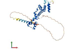Protein Structure (PS) image for SIX Homeobox 1 (SIX1) (AA 1-284) protein (His tag) (ABIN7563955)