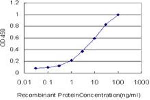 Detection limit for recombinant GST tagged EGR1 is approximately 0. (EGR1 Antikörper  (AA 444-543))