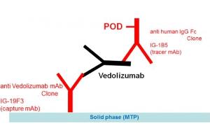 Image no. 1 for Vedolizumab Specific ELISA Kit (ABIN5519326) (Vedolizumab Specific ELISA Kit)