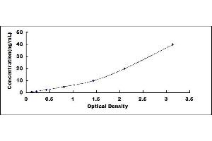 Typical standard curve