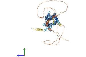 Protein Structure (PS) image for Cholinergic Receptor, Muscarinic 3 (CHRM3) (AA 1-589) protein (His tag) (ABIN7561451)
