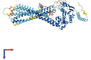 CCL17 Protein (AA 1-741) (His tag)