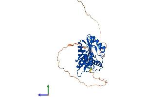 Protein Structure (PS) image for Vasohibin 1 (VASH1) (AA 1-365) protein (His tag) (ABIN7545117)