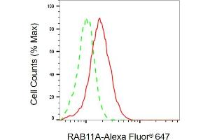 Flow cytometric analysis of RAB11A expression in HAP-1 cells using RAB11A antibody (ABIN7800088), 1:2,000). (RAB11A Antikörper)