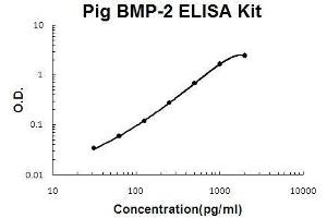 Pig BMP-2 PicoKine ELISA Kit standard curve