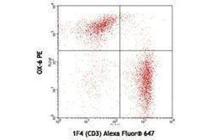 Flow Cytometry (FACS) image for anti-RT1 Class II, Locus Bb (RT1-BB) antibody (PE) (ABIN2663878) (RT1-BB Antikörper  (PE))