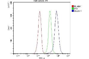 Flow Cytometry analysis of JK cells using anti-HS2ST1 antibody (ABIN7602362). (HS2ST1 Antikörper  (AA 71-356))