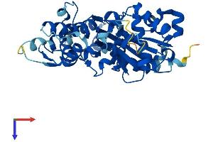ACTRT1 Protein (AA 1-376) (His tag)