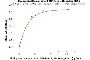 ELISA image for Transforming Growth Factor, beta 1 (TGFB1) (AA 30-390) (Active) protein (His tag,AVI tag,Biotin) (ABIN6386432)