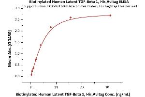 Immobilized Human ITGAV&ITGB8 Heterodimer Protein, His Tag&Tag Free (ABIN4949120,ABIN4949121) at 5 μg/mL (100 μL/well) can bind Biotinylated Human Latent  1, His,Avitag (ABIN6386432,ABIN6388257) with a linear range of 0.