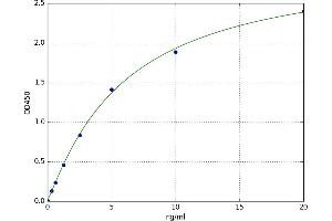Neurofibromin 2 (NF2) ELISA Kit