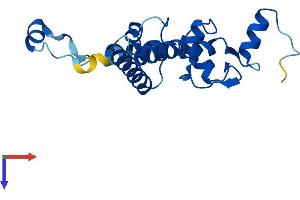 IMP3 Protein (AA 1-184) (His tag)