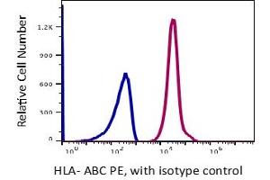 Flow Cytometry (FACS) image for anti-HLA-ABC (HLA-ABC) antibody (PE) (ABIN5067850) (HLA-ABC Antikörper  (PE))