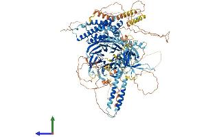 AlphaFold protein structure predicition of Mouse Recombinant Arhgef10l Protein, UniprotID A2AWP8