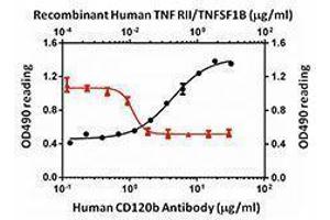 ELISA image for anti-Tumor Necrosis Factor Receptor Superfamily, Member 1B (TNFRSF1B) antibody (ABIN2665950)