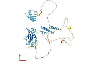 Protein Structure (PS) image for F-Box Protein 7 (FBXO7) (AA 1-523) protein (His tag) (ABIN7557153)