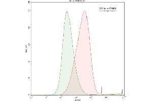 Detection of PTGES2 in HepG2 human hepatocellular carcinoma cell line using Polyclonal Antibody to Prostaglandin E Synthase 2 (PTGES2) (PTGES2 Antikörper  (AA 145-357))