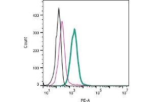 Cell surface detection of ADAM23 by indirect flow cytometry in live intact human  monocytic leukemia cell line: + goat-anti-rabbit-PE. (Adam23 Antikörper  (Extracellular))