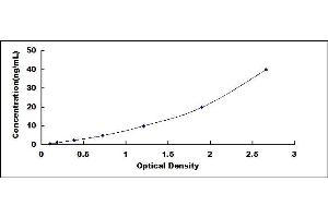 Typical standard curve (Cathepsin L ELISA Kit)