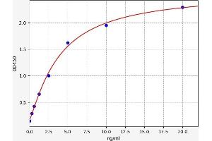 Typical standard curve (LGALS8 ELISA Kit)