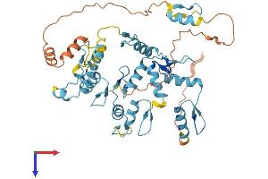 ZNF101 Protein (AA 1-436) (His tag)