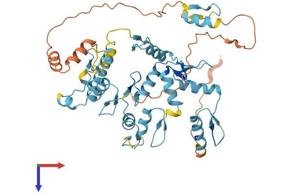 ZNF101 Protein (AA 1-436) (His tag)
