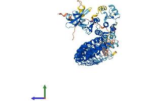 AlphaFold protein structure predicition of Human Recombinant ANKK1 Protein, UniprotID Q8NFD2