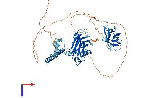 SYTL1 Protein (AA 1-567) (His tag)