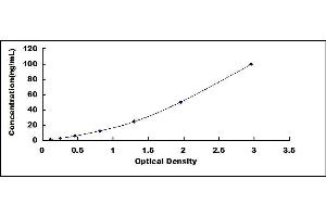 Typical standard curve (PKC epsilon ELISA Kit)