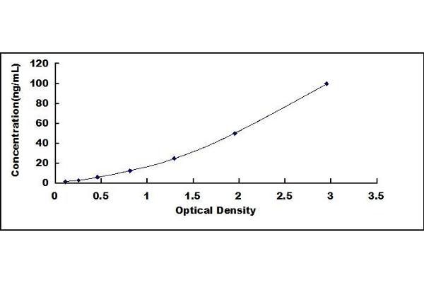 PKC epsilon ELISA Kit