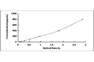 ELISA image for Osteocalcin (BGLAP) ELISA Kit (ABIN5564706)
