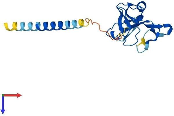 CD94 Protein (AA 1-179) (His tag)