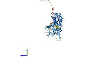 Protein Structure (PS) image for Sodium Channel, Nonvoltage-Gated 1, gamma (SCNN1G) (AA 1-655) protein (His tag) (ABIN7565213)